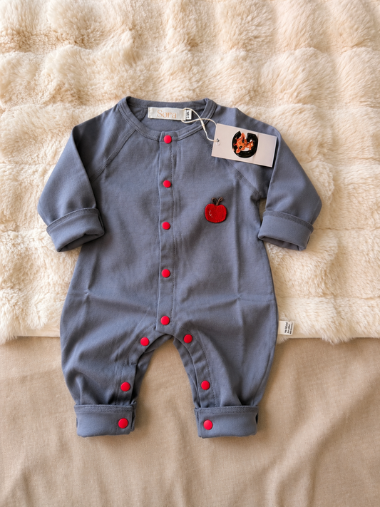 Little Apple Blue Romper